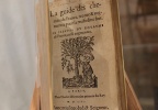 La guida di Charles Estienne, 1553